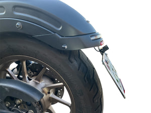 DOPE-RBD108 テールライト 適合エレクトリックキット&センターナンバーホルダー  for Rebel250~500