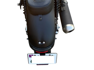 DOPE-RBD108 テールライト 適合エレクトリックキット&センターナンバーホルダー  for Rebel250~500